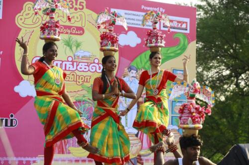 Pongal Festival 2019